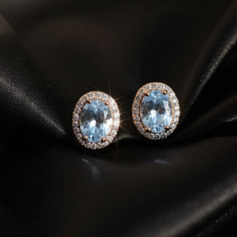 Elegant Crystel Zircon Studded Earrings